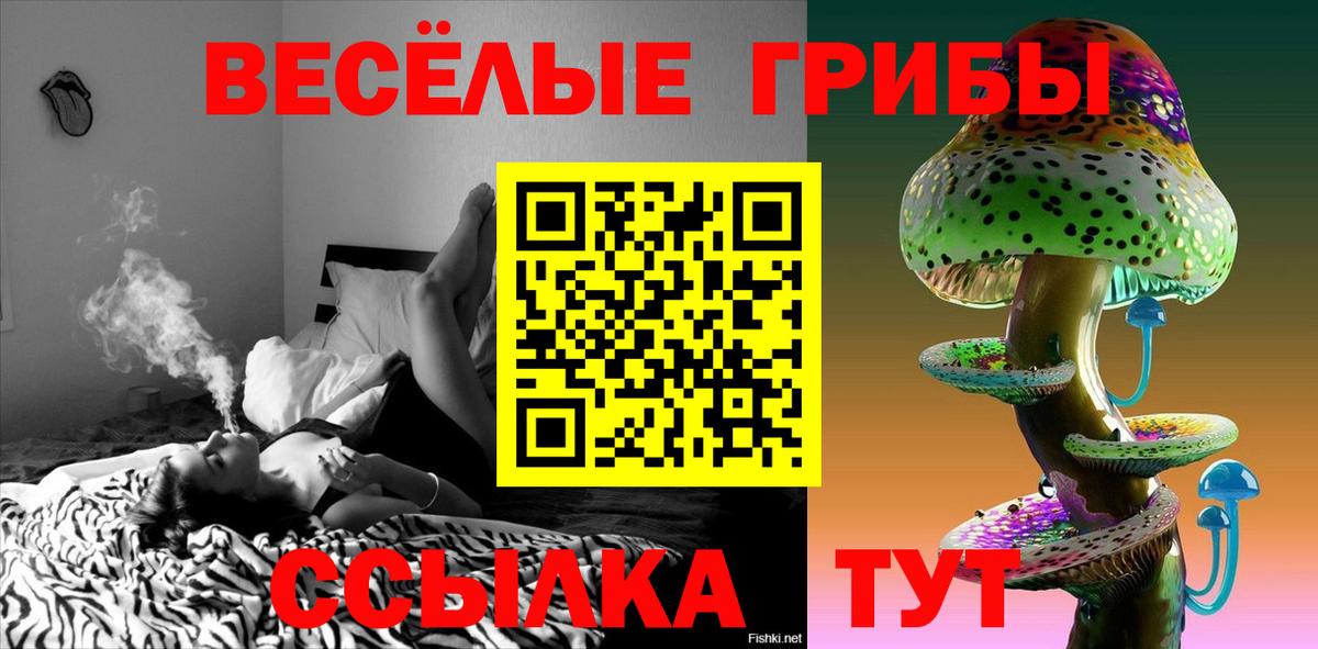 Галлюциногенные грибы MAGIC MUSHROOMS  Вход с VPN  дарнет шоп  Псилоцибиновые грибы Psilocybine cubensis  Медногорск 